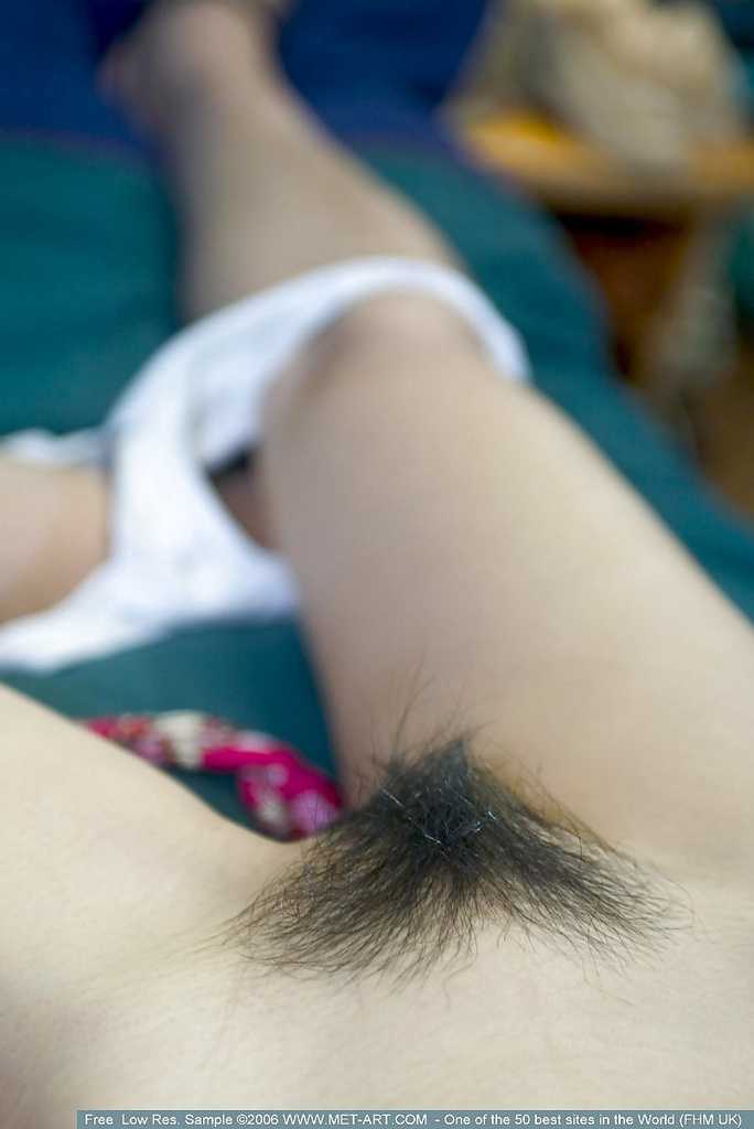 Hairy asian pussies 2