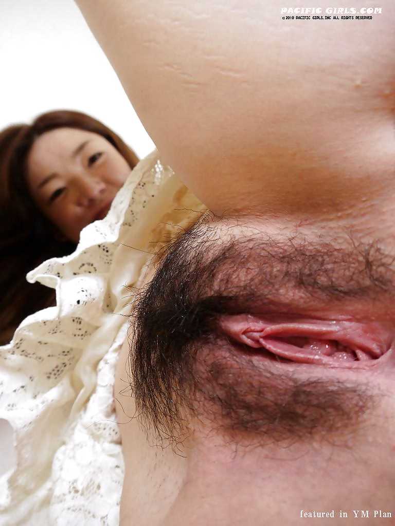 Hairy asian pussies 2