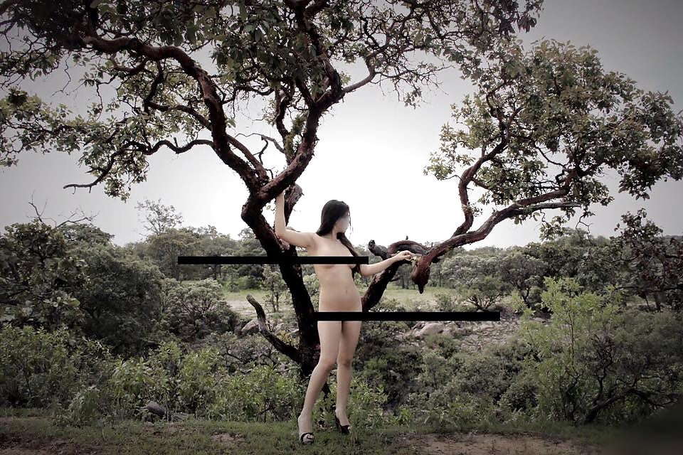 Mixed desi outdoor nudes